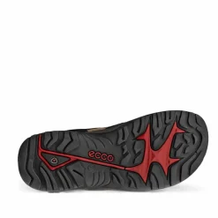 Ecco Offroad Andes II Sandal Herre
