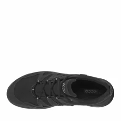 Ecco Terracruise LT M Sko Herre