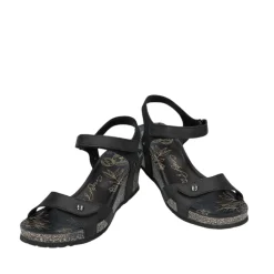 Panama Jack Julia Basic B1 Sandal Dame